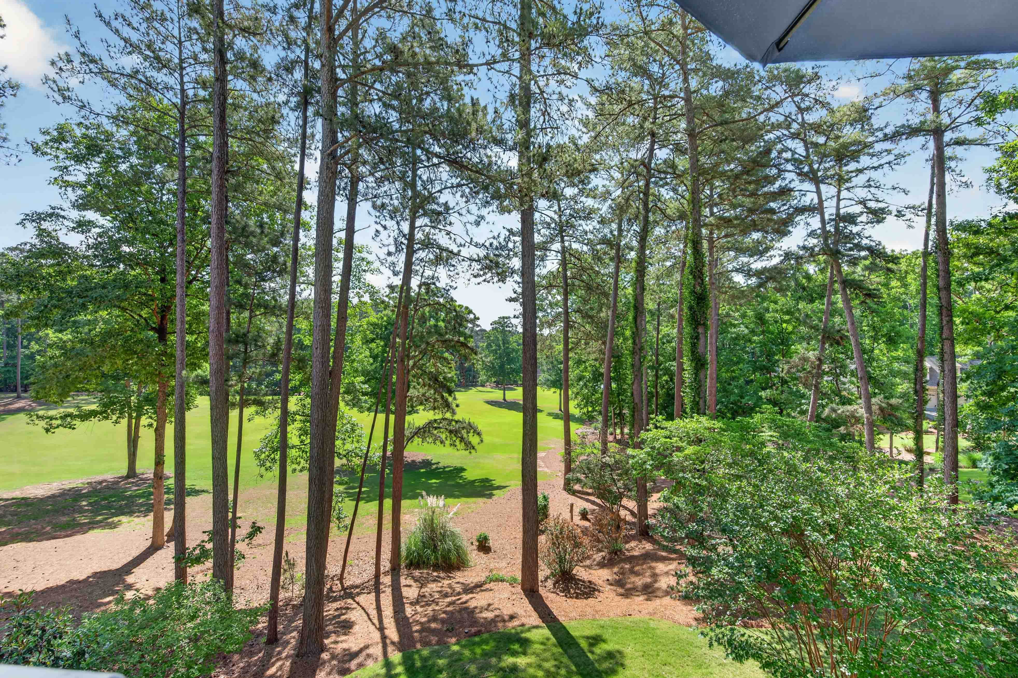 1010 Whatley's Mill Lane image 21